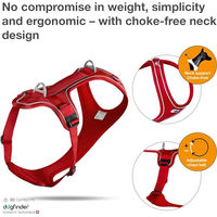 Produktbild von Curli Belka Comfort Sicherheitsgeschirr aus Neopren Rot Größe XL