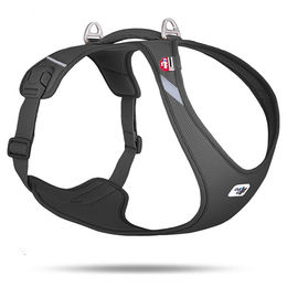 Curli Belka Comfort Sicherheitsgeschirr für Hunde mit Air-Mesh Schwarz Größe XL – Bild 1 von 3