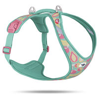 Produktbild von Curli Belka Harness Air-Mesh Hundegeschirr Fruits Türkis Größe 4XL