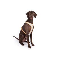 Produktbild von Curli Belka Hundegeschirr Alpine Gray aus Filz Größe 2XL