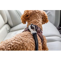 Produktbild von Curli Car Safety Belt V2 Sicherheitsgurt für Hunde in Schwarz Größe L aus Nylon 60 cm lang - 60 cm