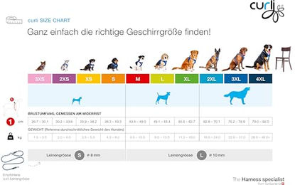 Curli Clasp Air-Mesh Hundegeschirr Skyblue Größe S – Bild 1 von 6