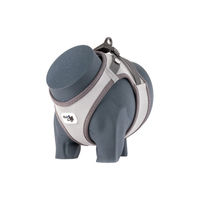 Produktbild von Curli Clasp Glow Vest reflektierendes Hundegeschirr Grau XS