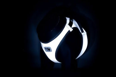 Curli Clasp Glow Vest Sicherheitsgeschirr Grau Größe S – Bild 1 von 4