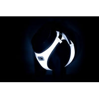Produktbild von Curli Clasp Glow Vest Sicherheitsgeschirr Grau Größe S