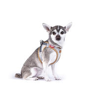 Produktbild von Curli Clasp Vest Alpine Sicherheitsgeschirr für Hunde Grau XS