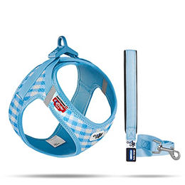 Curli Clasp Vest Geschirr und Führleine Set für Welpen in Blau XS – Bild 1 von 5