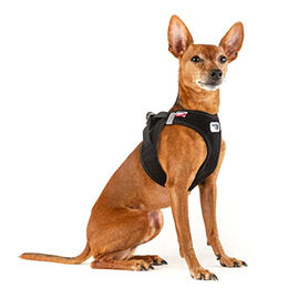 Curli Clasp Vest Hundegeschirr Cord Schwarz Größe S – Bild 1 von 6