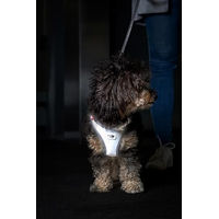 Produktbild von Curli Clasp Vest Sicherheitsgeschirr Reflective Gray Größe XS