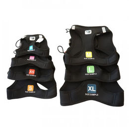 Curli Größenmuster Set Vest Harness Schwarz für Riesenrassen – Bild 1 von 1