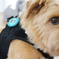 Produktbild von Curli luumi LED Sicherheitslicht für Hundegeschirre und Hundehalsbänder weiß - 1 Stk.