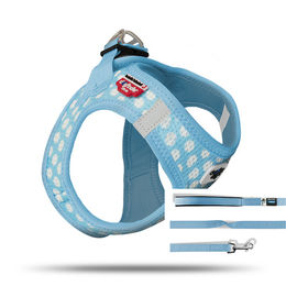 Produktbild von Curli Puppy Set Führgeschirr und Führleine Blau Größe M