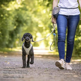Curli Stretch Comfort Hundeleine aus Nylon in Blau Größe M – Bild 1 von 3