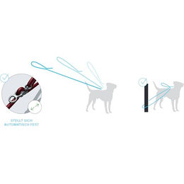 Produktbild von Curli Vario Comfort Hundeleine aus Nylon in Grau Größe S für kleine und mittlere Hunde - 2 m