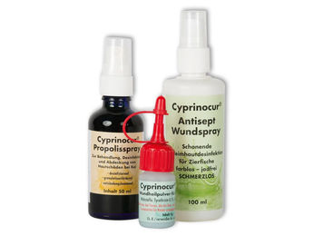 Produktbild von Cyprinocur Bio Behandlungsset für Teichfische