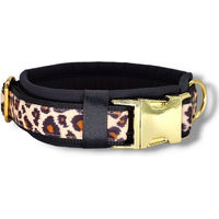 Produktbild von D by Eve Couture Hunde-Halsband Golden Leo Love II wasserabweisend gepolstert aus Polyester 30mm breit