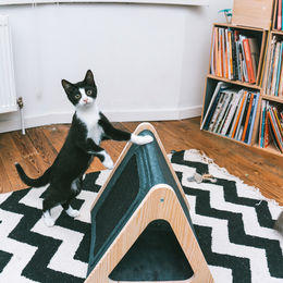 D&D Home Katzen Kratzbaum Toto Katzenhaus aus Holz Schwarz Blau – Bild 1 von 2