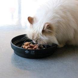 D&D Slowfeeder Sue Wellen Keramik Schwarz 20x20cm - 0,75 l – Bild 1 von 7