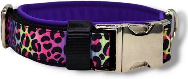 Produktbild von D by E Couture Hunde-Halsband Rainbow Leo Love I, gepolstert, verstellbar, 30mm breit
