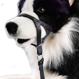 D&D Maulkorb En Route verstellbar schwarz – Bild 1 von 2