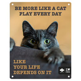 Produktbild von D&D Schild I Love Happy Cats Play every day
