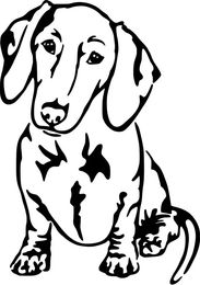 Produktbild von Dackel Kurzhaar Grafiklizenz