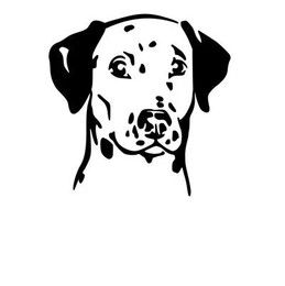 Produktbild von Dalmatiner Kopf Auto Wohnmobil Aufkleber