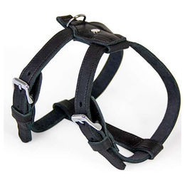 Produktbild von Das Lederband Geschirr Weinheim Black, Halsumfang: 48-52 cm