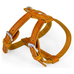 Produktbild von Das Lederband Geschirr Weinheim Maroon, Halsumfang: 32-36 cm