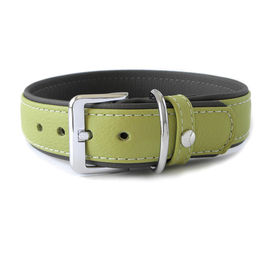 Produktbild von Das Lederband Hundehalsband Amsterdam lime/lava, Länge: 40 cm / Breite: 25 mm