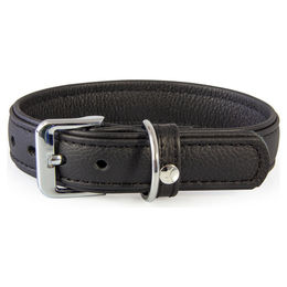 Produktbild von Das Lederband Hundehalsband Denver schwarz/schwarz, Länge: 60 cm