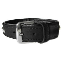 Produktbild von Das Lederband Hundehalsband Roma schwarz/schwarz, Länge: 70 cm / Breite: 40 mm