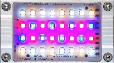 Produktbild von daytime LED PRO-Modul SunLike-Fresh - 1 Stk