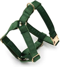 Produktbild von dazikemo Hundegeschirr Forest XS