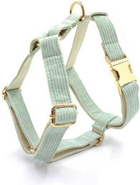 Produktbild von dazikemo Hundegeschirr White-Tea M