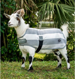 Produktbild von Decke für Ziegen Horseware Newmarket 500g