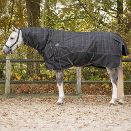 Produktbild von Decke mit Halsteil für Pferde QHP Collection 300g