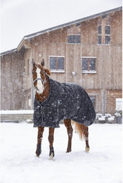 Produktbild von Decke Riding World Oxford