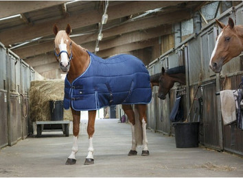 Produktbild von Decke Riding World Stalldecke