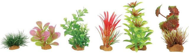 Produktbild von Decor plant boit mix Modell 1 für Aquarium Zolux (x6)
