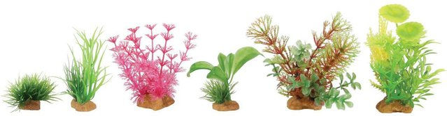 Produktbild von Decor plant boit mix Modell 4 für Aquarium Zolux (x6)
