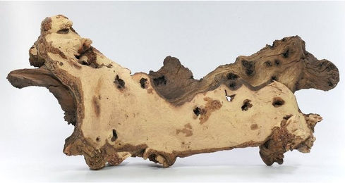 Deggelbam Aquarium Mopani Wurzel Eisenholzwurzel Aquarium versch. Größen S-XL, Echtholzwurzel zur Aquariumdekoration, Aquascaping – Bild 1 von 3