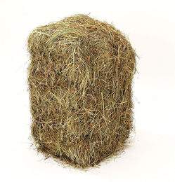 Produktbild von Dehner Einstreu Wiesenheuballen, schonend getrocknet, 10 kg, Heu als Nagereintreu geeignet