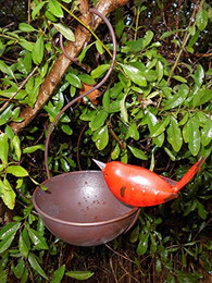 Produktbild von Deko-Impresion Vogeltränke aus Eisen mit Vogel in Rot