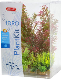 Produktbild von Deko Plantkit Zolux idro n°1 (x7)