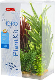 Produktbild von Deko Plantkit Zolux idro n°4 (x7)
