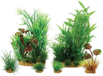 Produktbild von Deko Plantkit Zolux Jalaya n°2 (x6)