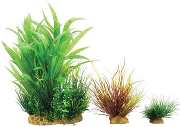 Produktbild von Deko Plantkit Zolux Wiha n°2 (x3)