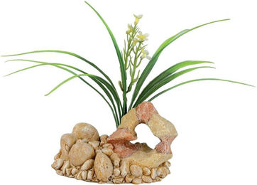 Produktbild von Deko-Stein mit Pflanzen t1 Zolux