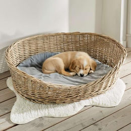 Dekoleidenschaft Hundekorb "Koboo Grey" Weide, Gr. XL 90x70 cm, Hundebett, Tierbett mit Kissen, Weidenkorb für mittelgroße Hunde, Tierbett – Bild 1 von 5